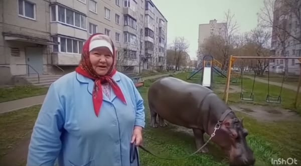 Как заработать от 300000 рублей в месяц на создании ИИ контента